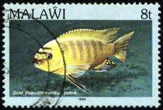 марки Малави